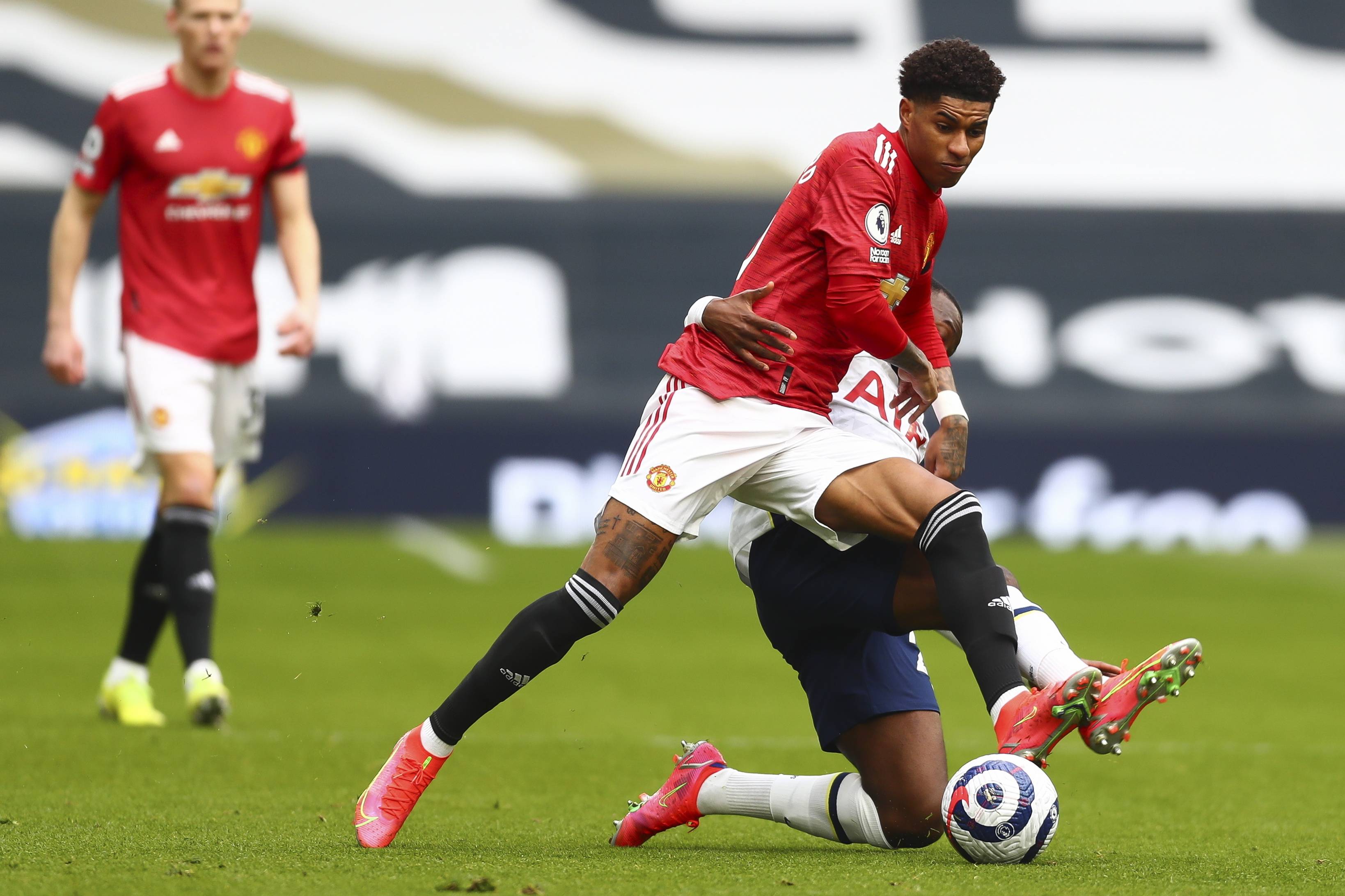 澳大利亚实 澳大利亚实