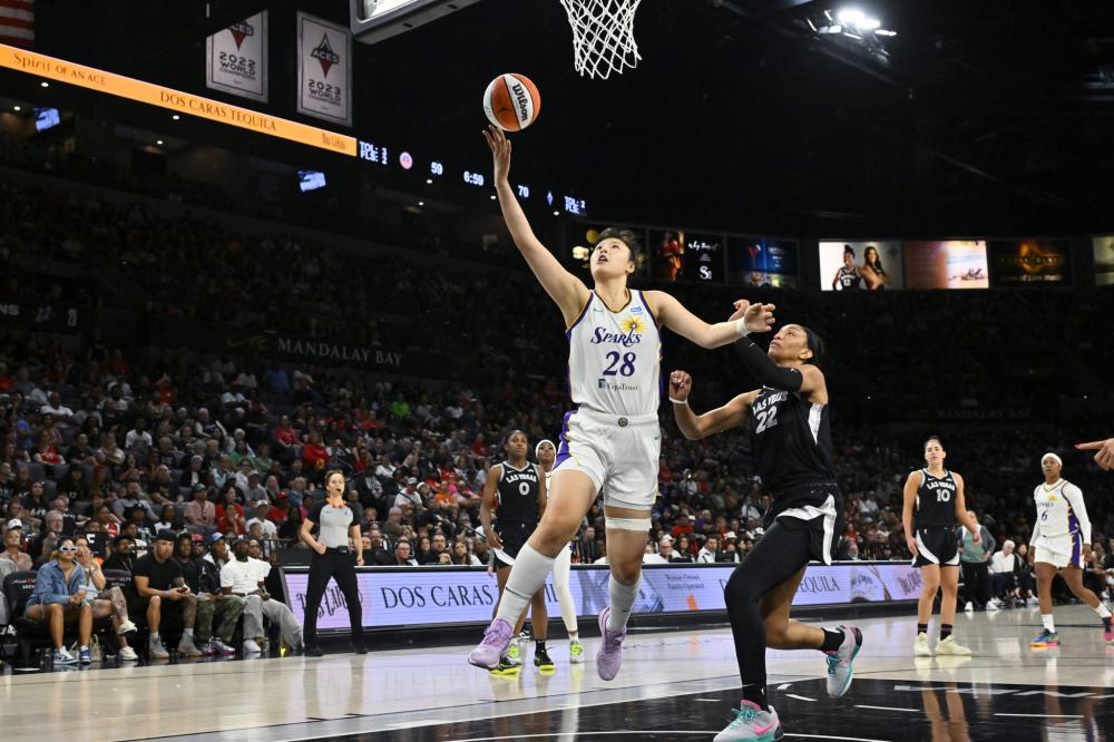 其他因素 其他因素